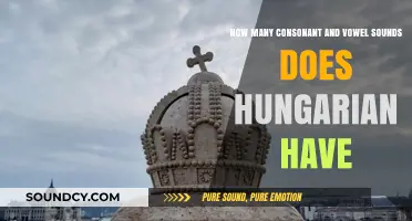 Exploring Hungarian Phonetics: Counting Consonants and Vowels in the Language