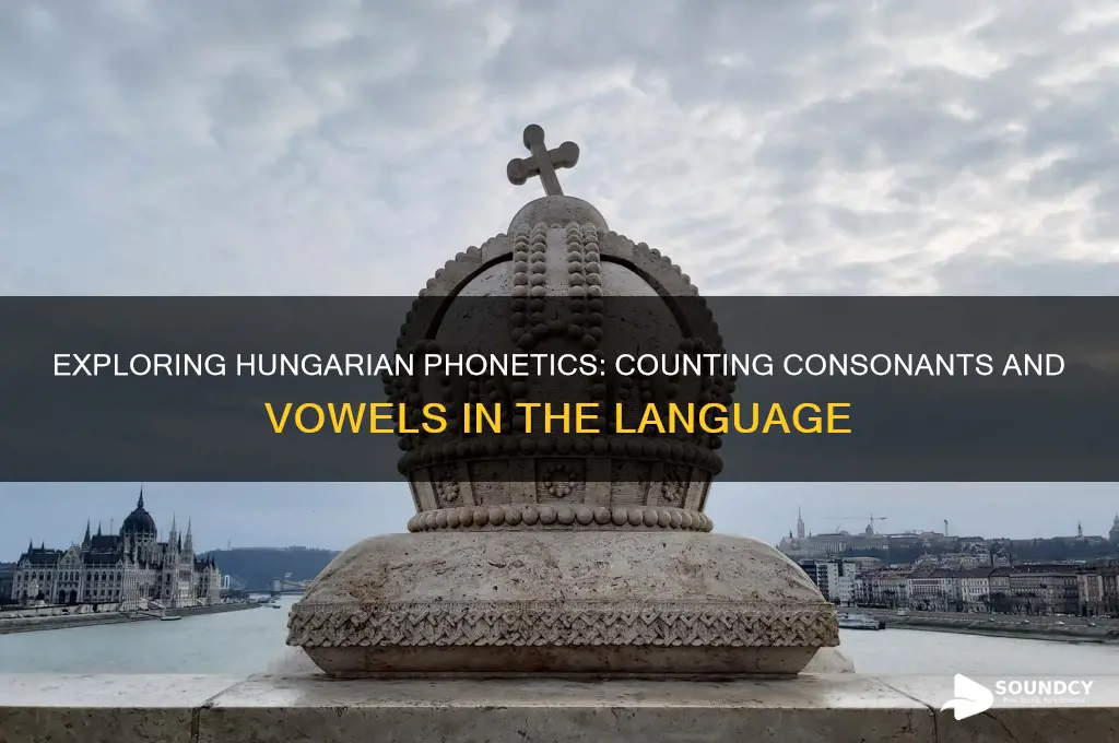 how many consonant and vowel sounds does hungarian have