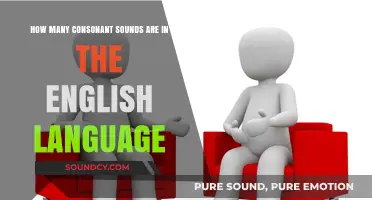 Exploring the Total Number of Consonant Sounds in English Language Phonetics