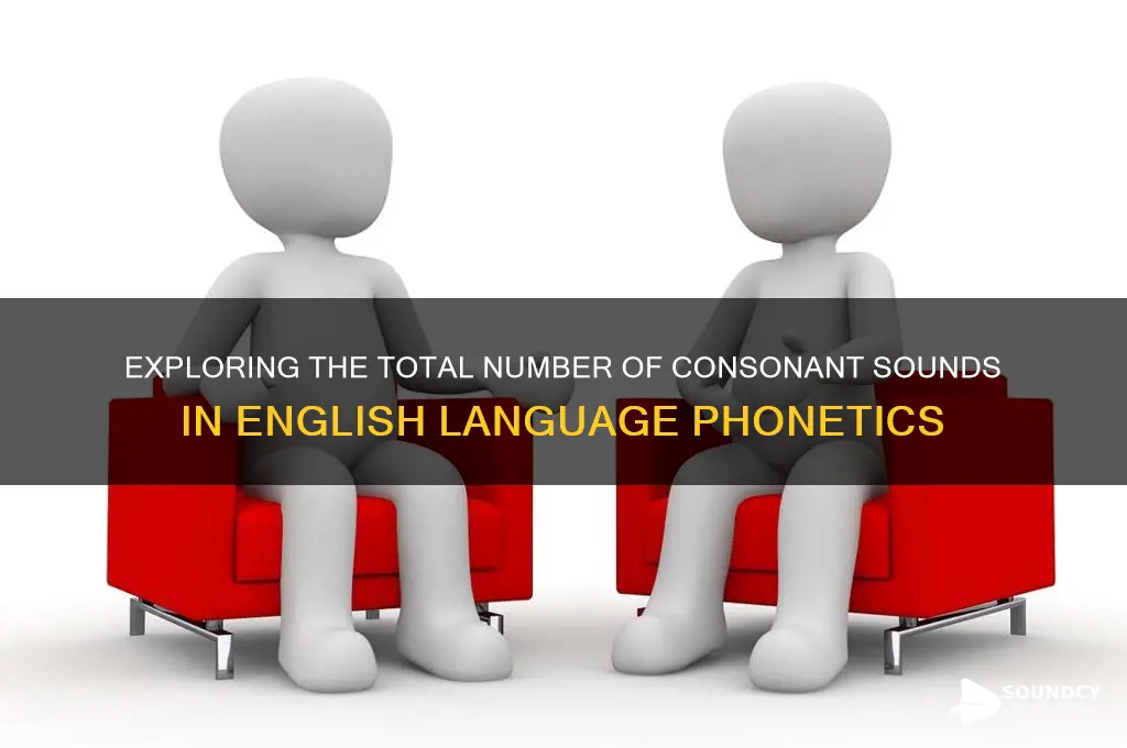 how many consonant sounds are in the english language