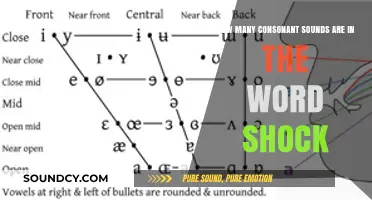 Exploring the Consonant Sounds in the Word Shock: A Phonetic Breakdown