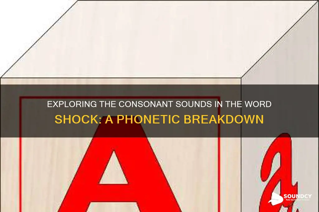 how many consonant sounds are in the word shock