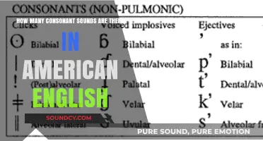 Exploring the Consonant Sounds of American English: A Comprehensive Count
