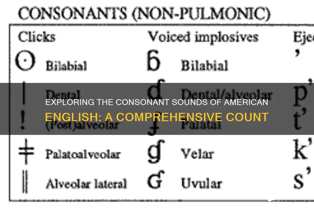 how many consonant sounds are there in american english