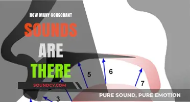 Exploring the Total Number of Consonant Sounds in English Phonetics