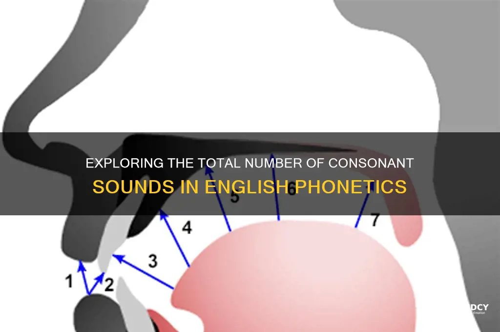 how many consonant sounds are there