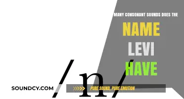 Exploring the Consonant Sounds in the Name Levi: A Phonetic Breakdown