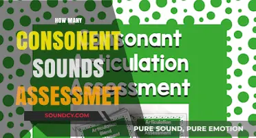 Mastering Consonant Sounds: A Comprehensive Assessment Guide for Learners