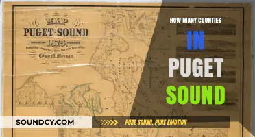 Exploring Puget Sound: Uncovering the Number of Counties Within