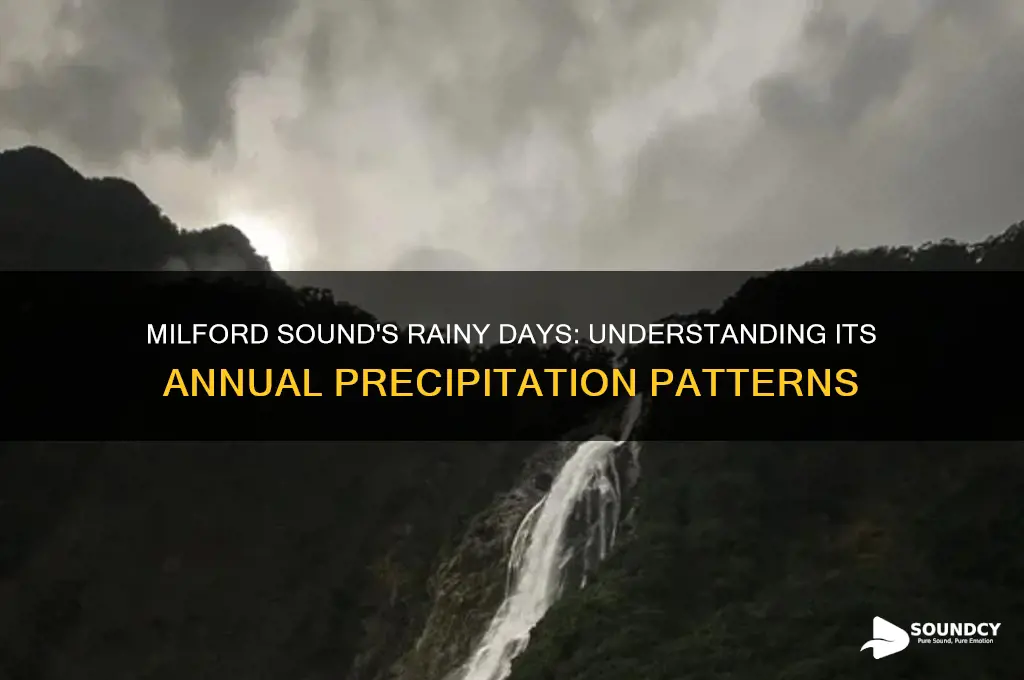 how many days does in rain in milford sound