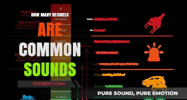 Understanding Everyday Noise: Decibel Levels of Common Sounds Explained