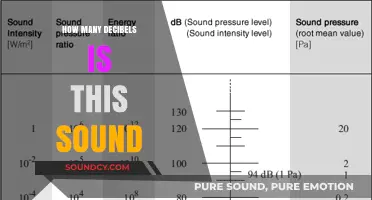 Understanding Sound Intensity: How Many Decibels Is This Noise?