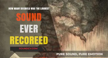 Unbelievable Noise: The Loudest Sound Ever Recorded in History