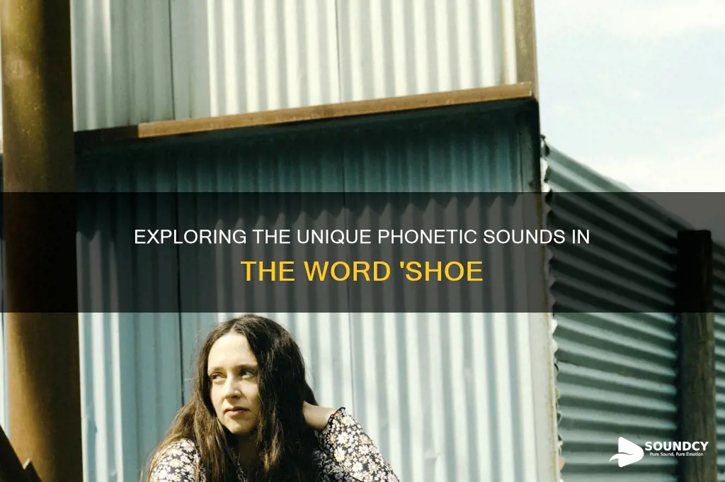 how many distinct phonetic sounds are found in shoe