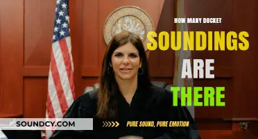 Understanding Docket Soundings: A Comprehensive Guide to Their Types and Uses