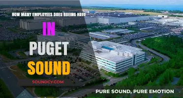 Boeing's Puget Sound Workforce: Unveiling the Scale of Employment