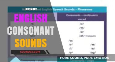 Exploring the Rich Variety of English Consonant Sounds and Their Count