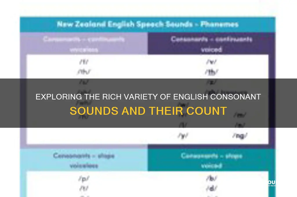 how many english consonant sounds