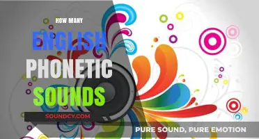 Exploring the Rich Variety of English Phonetic Sounds and Their Count