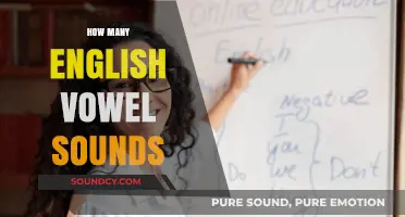 Exploring the Surprising Number of English Vowel Sounds and Their Variations