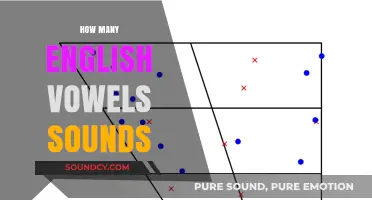 Exploring the Surprising Number of English Vowel Sounds and Their Variations