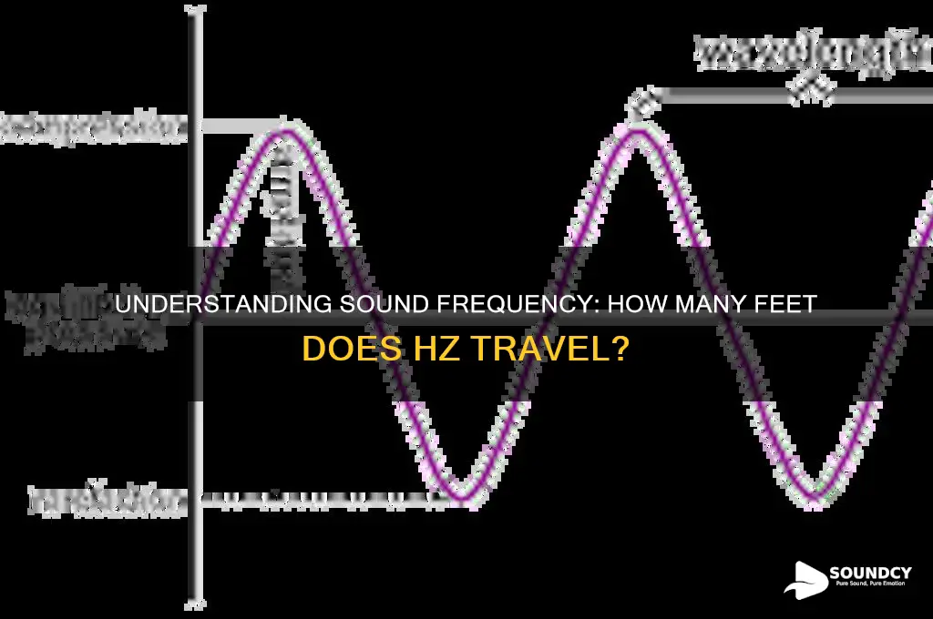 how many feet does hz sound