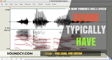 Understanding Speech Sound Formants: Typical Count and Their Role in Phonetics