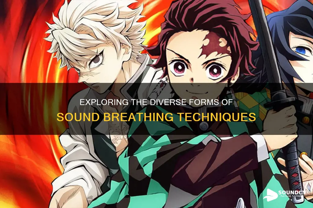 how many forms in sound breathing