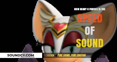 Breaking the Sound Barrier: Understanding G-Forces at Sonic Speeds