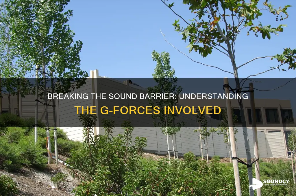 how many g when you break the sound barrier