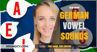 Exploring the Rich Variety of German Vowel Sounds: A Comprehensive Guide
