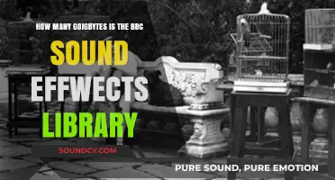 Exploring the BBC Sound Effects Library: Size in Gigabytes Revealed