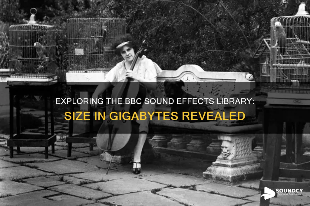 how many goigbytes is the bbc sound effwects library
