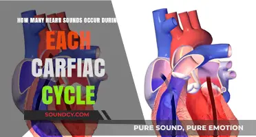 Understanding Cardiac Cycle Heart Sounds: Frequency and Significance Explained