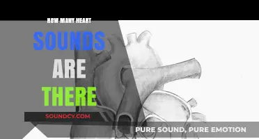 Understanding Heart Sounds: Exploring the Types and Their Significance