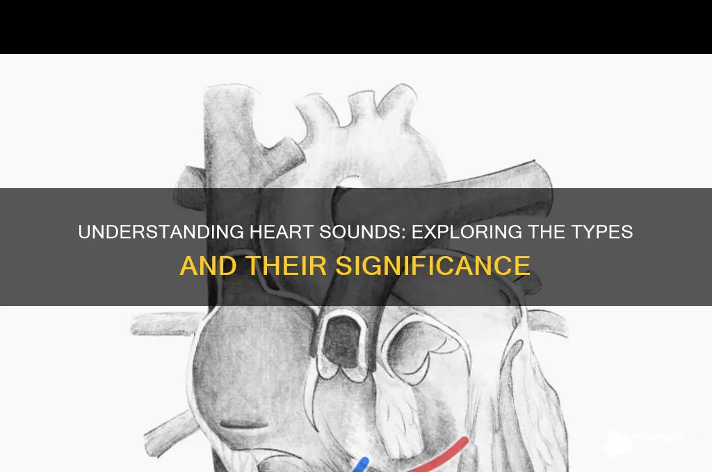 how many heart sounds are there