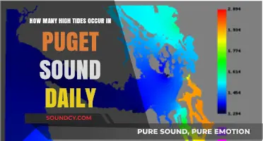 Daily High Tides in Puget Sound: Frequency and Patterns Explained
