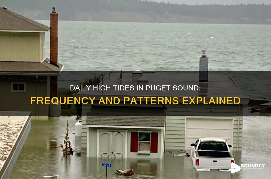 how many high tides occur in puget sound daily