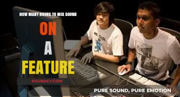 Mastering Sound Mixing: Time Investment for Feature Film Projects
