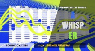 Understanding the Ultra-Low Frequency Range of a Whisper's Hertz