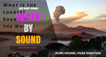 Deadly Decibels: Exploring Fatal Human Encounters with Extreme Sound Levels