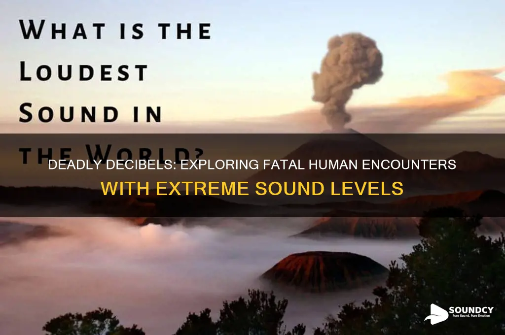how many human death by sound