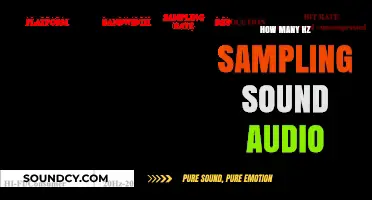 Understanding Audio Sampling Rates: How Many Hz Do You Need?