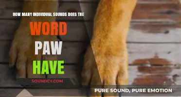 Exploring the Phonetic Breakdown: How Many Sounds Are in 'Paw'?