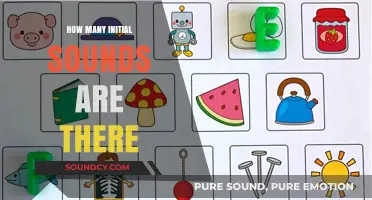Exploring the Count of Initial Sounds in the English Language