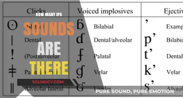 Exploring the Total Number of IPA Sounds in Phonetics