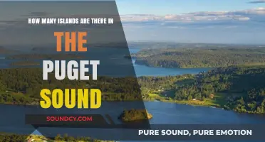 Exploring Puget Sound's Archipelago: Counting the Islands Within