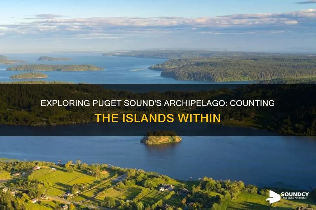 how many islands are there in the puget sound