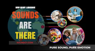 Exploring the Vast Diversity of Language Sounds Worldwide