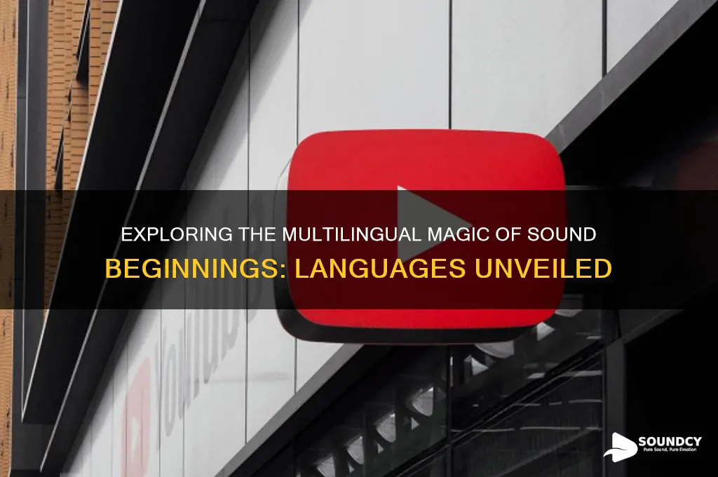 how many languages in sound beginnings
